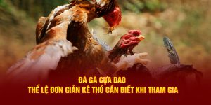 Đá Gà Cựa Dao Thể Lệ Đơn Giản Kê Thủ Cần Biết Khi Tham Gia