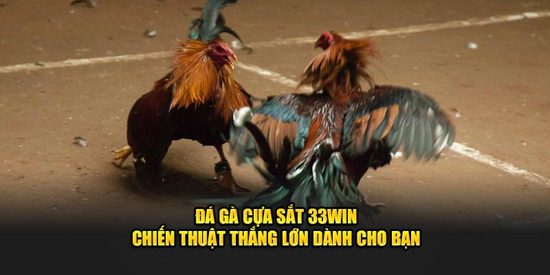 Đá Gà Cựa Sắt 33WIN - Chiến Thuật Thắng Lớn Dành Cho Bạn