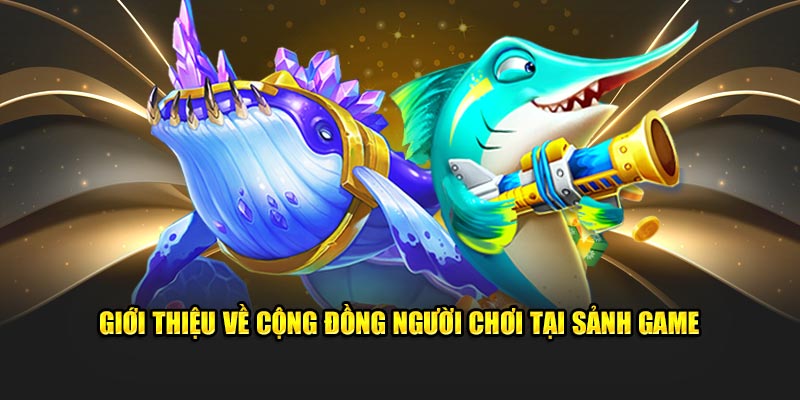 Giới thiệu về cộng đồng người chơi tại sảnh game