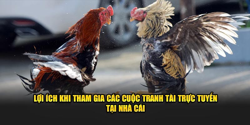 Lợi ích khi tham gia các cuộc tranh tài trực tuyến tại nhà cái