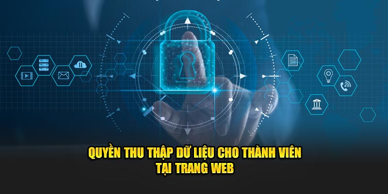 Quyền thu thập dữ liệu cho thành viên tại trang web