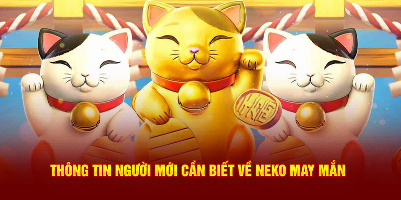 Thông tin người mới cần biết về Neko may mắn 